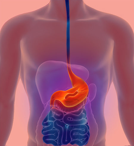 H Pylori