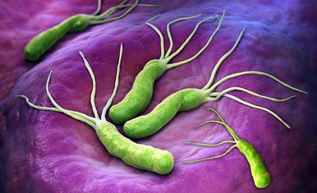 H Pylori